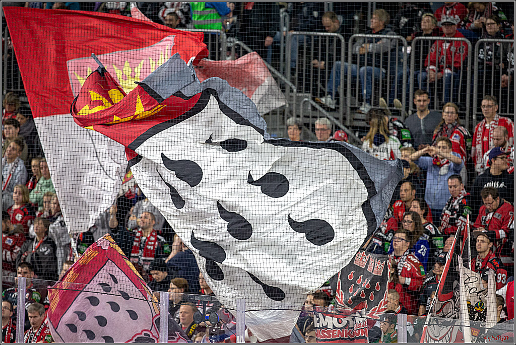 DEL; Koelner Haie - Straubing Tigers, 02.12.2018